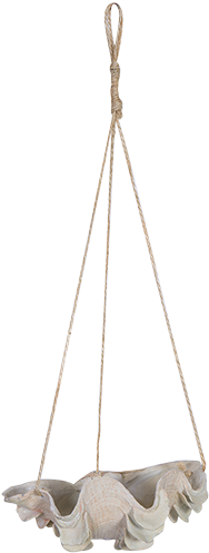 Hanging Clam Shell Planter - Beachside Bargains Evans Head (500x500), Png Download