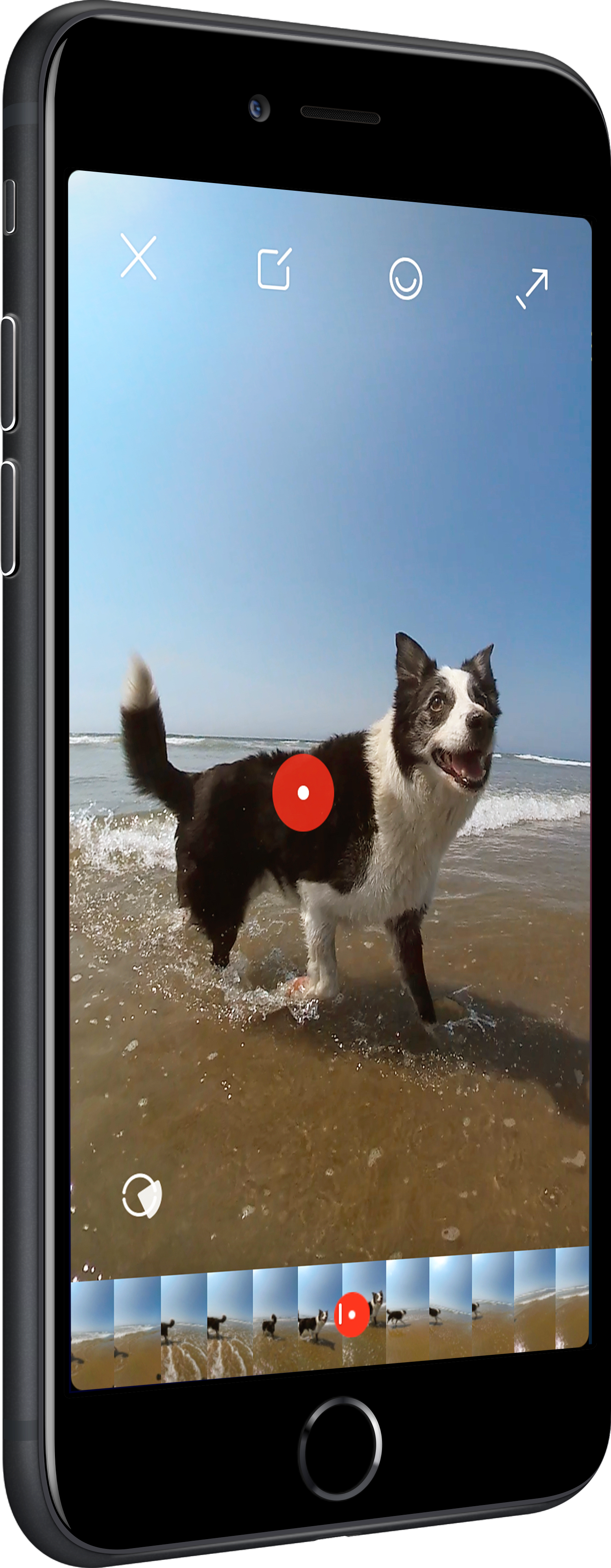 Get The App - Dog Catches Something (1502x3855), Png Download