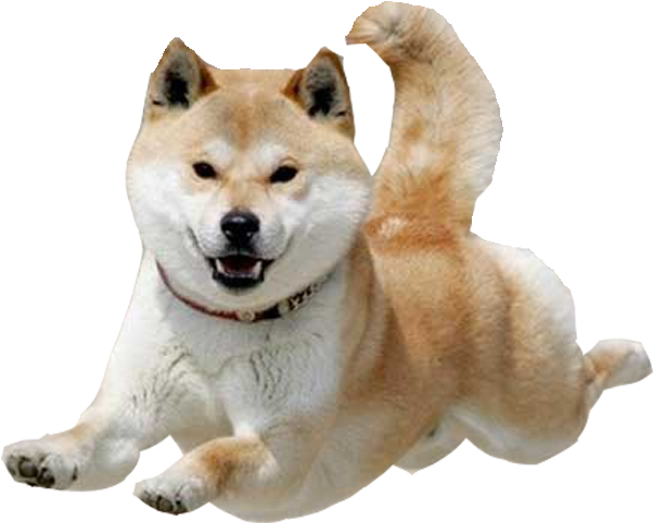 Shiba Dog's Head Messages Sticker-9 - Flying Doge (618x618), Png Download