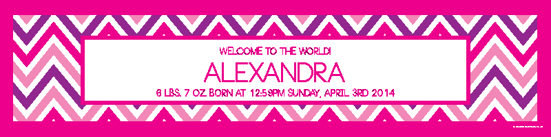 Decorative Birthday Banner - Diddams (800x200), Png Download