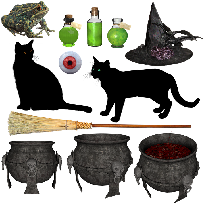 Witch, Halloween, Hat, Broom, Black, Cat, Potion - Witch (720x720), Png Download