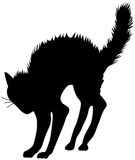 Download Halloween Black Cat Transparent Image - Halloween Cat Silhouette  Tattoo PNG Image with No Background 