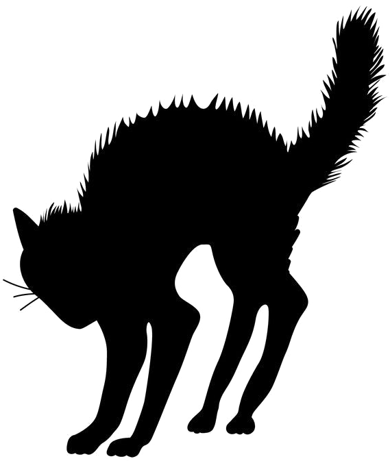 Halloween Black Cat Transparent Image - Halloween Cat Silhouette Tattoo (736x736), Png Download