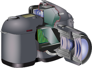 Their Smaller Dslr Counterparts - Componenti Macchina Fotografica Digitale (400x333), Png Download