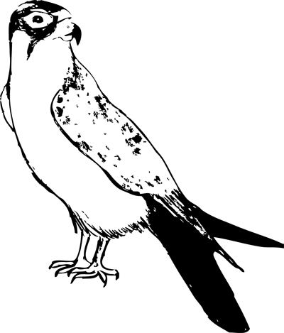 This Is Kind Of My Life's Work, Eye Of Horus And I - Osprey (400x469), Png Download