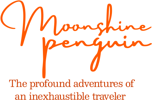Moonshine Penguin - Penguin (549x372), Png Download