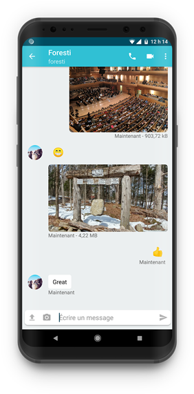 Displaying Emojis - Smartphone (442x600), Png Download