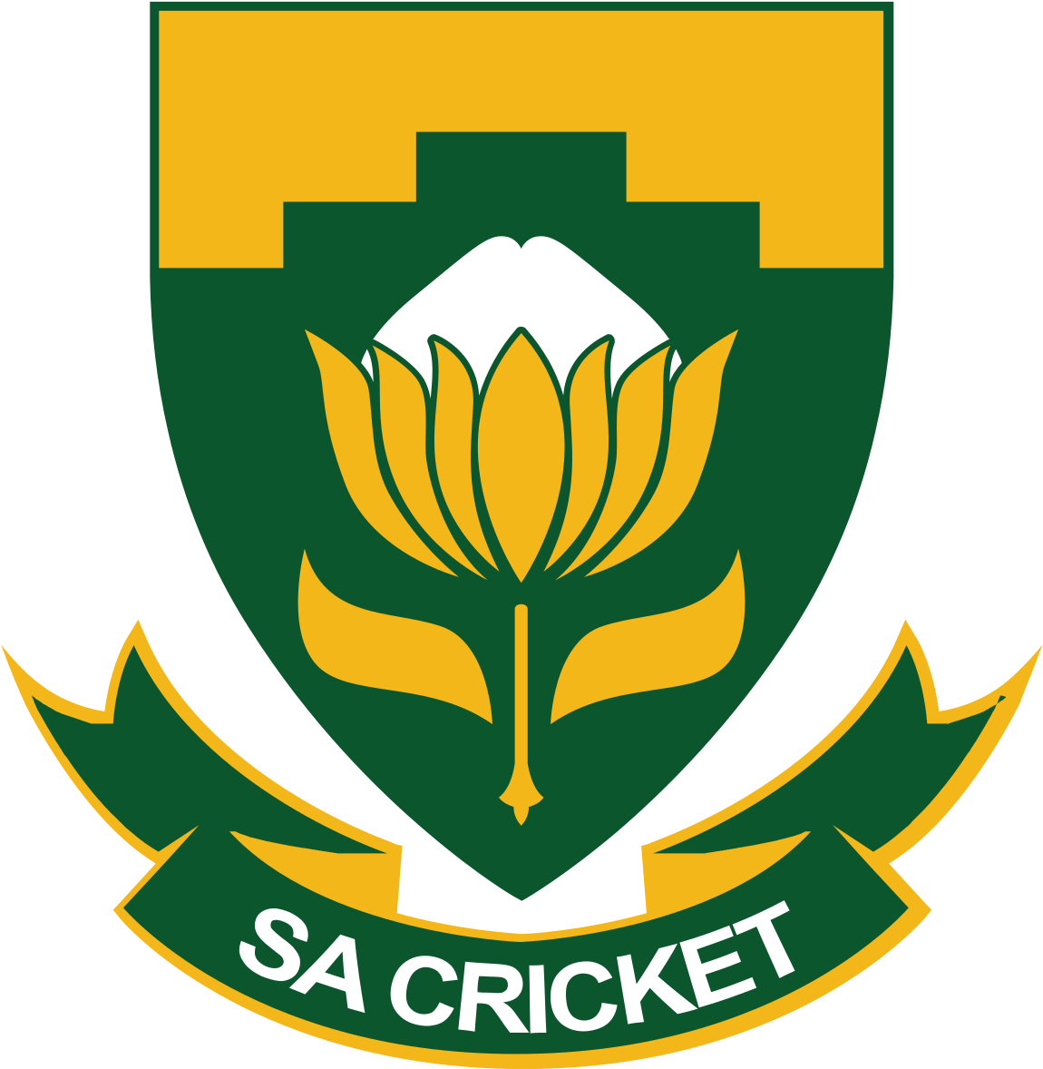 South Africa National Cricket Team (1200x1229), Png Download