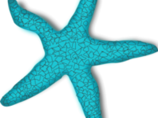 Starfish Clip Art (640x480), Png Download