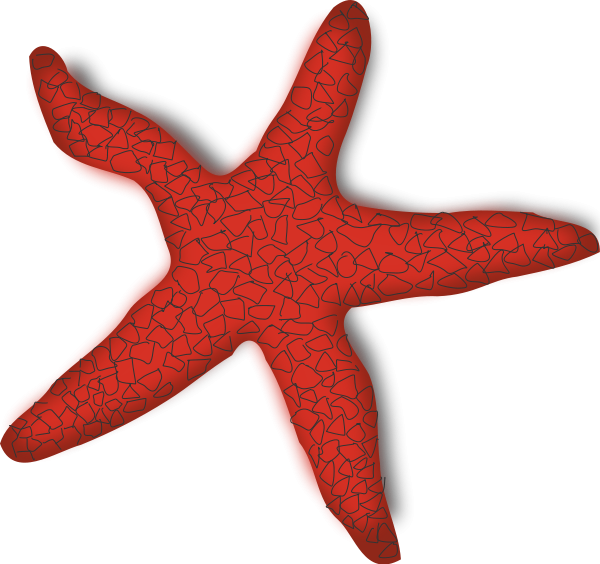 Red Starfish Clipart Png (600x564), Png Download