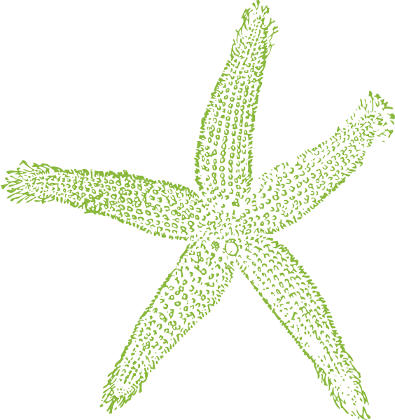 Starfish Svg File (564x599), Png Download