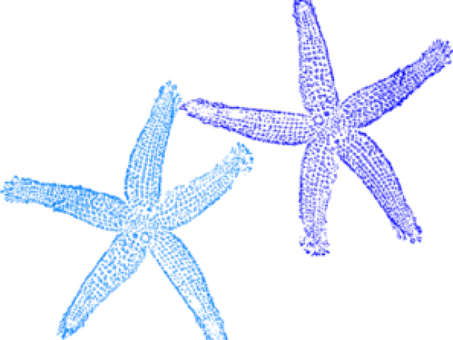 Sea Free On Dumielauxepices Net - Blue Starfish Clip Art (640x480), Png Download