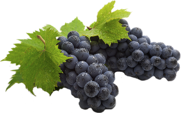 Počet Komentářů - - Екстракт От Гроздови Семки (600x375), Png Download