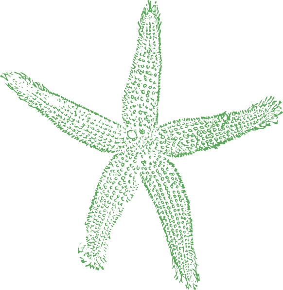 Starfish Cartoon - Private Listing For Pam 2 Pair Custom Angela Style (582x595), Png Download