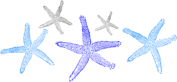 Prints Clip Art At Clker Com Vector - Gold Or Silver Metallic Shoe Upgrade, Gold Silver Bridal (600x279), Png Download