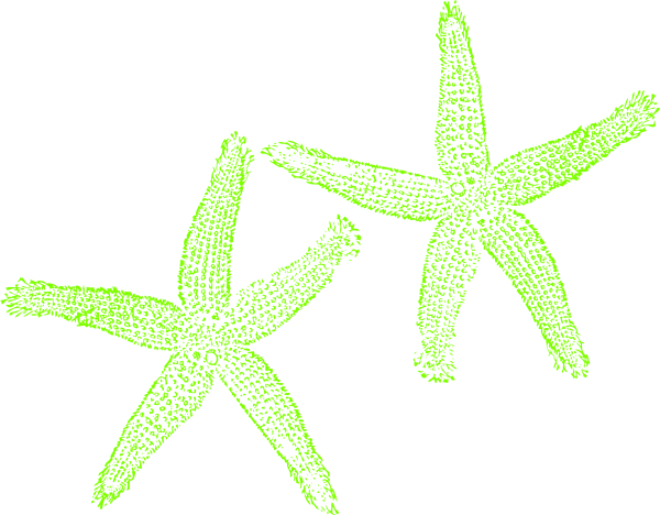 Lime Green Starfish Clipart Png For Web (600x468), Png Download
