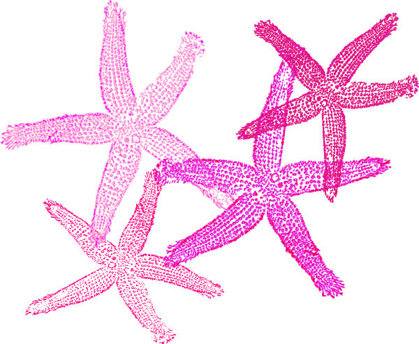 Starfish Clipart Peach - Private Listing For Pam 2 Pair Custom Angela Style (600x493), Png Download