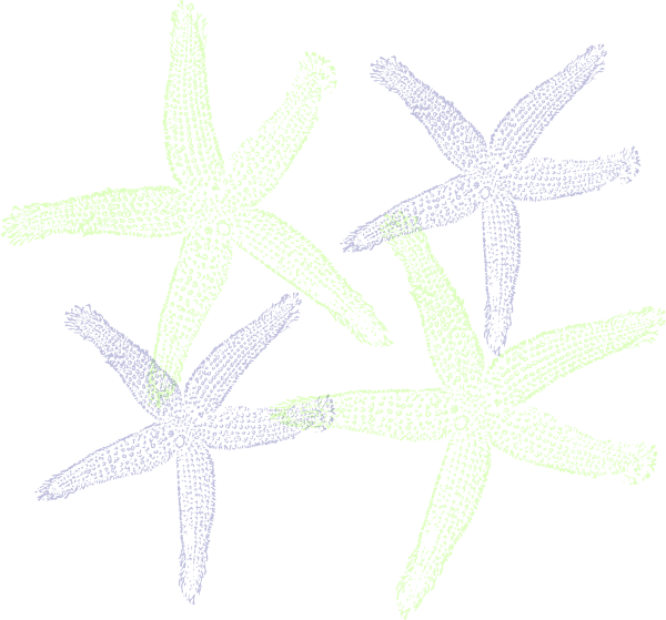 How To Set Use Starfish Prints Clipart (600x559), Png Download
