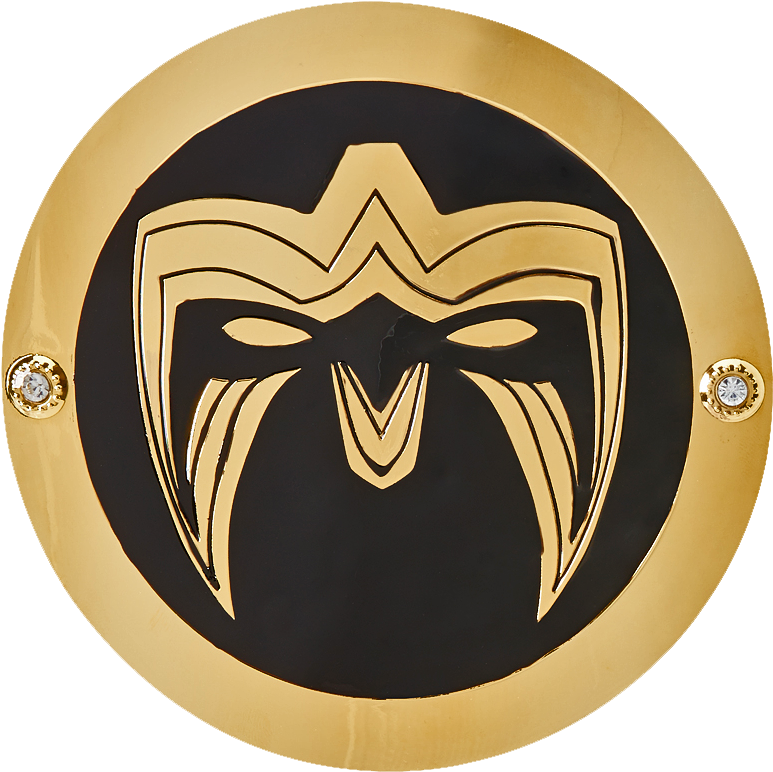 Hijpmbo - Wwe Championship (1001x1001), Png Download