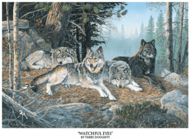 Watchful Eyes - Northern Promotions Framed Art - Watchful Eyes By Terry (600x484), Png Download