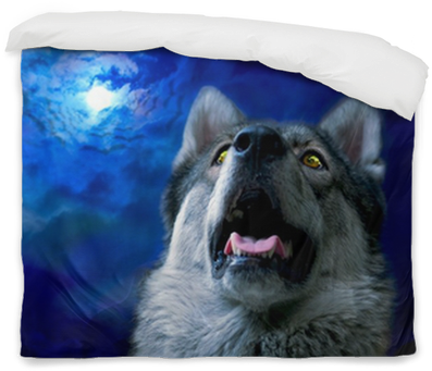 Wolf/wolf At Night, Select Focus On Eyes - Photography (400x400), Png Download