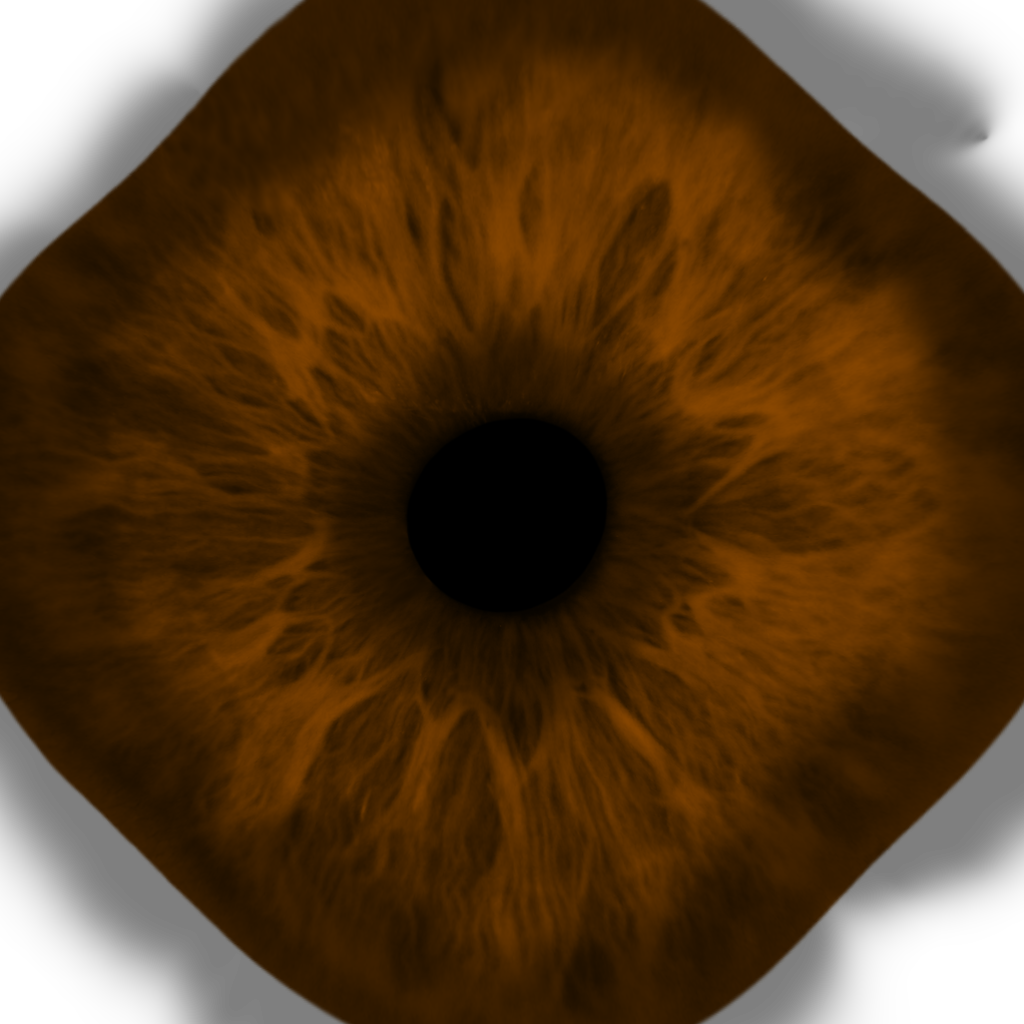 Wolf Eye - Eye (1024x1024), Png Download