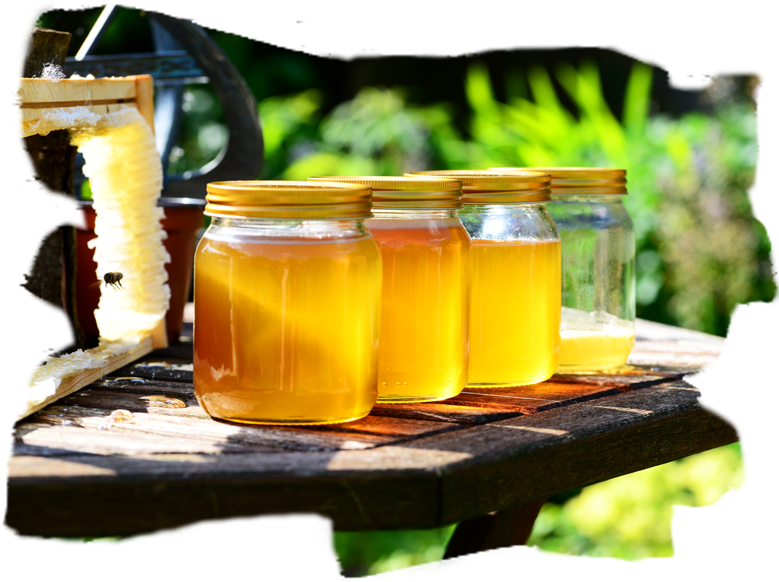 Honey In Jars - Bee Health: Background, Issues, And The Role (1620x1275), Png Download