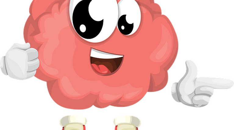 Brain-1773850 640 - Friendly Brain #3 Friendly Brain #3 Oval Ornament (768x425), Png Download