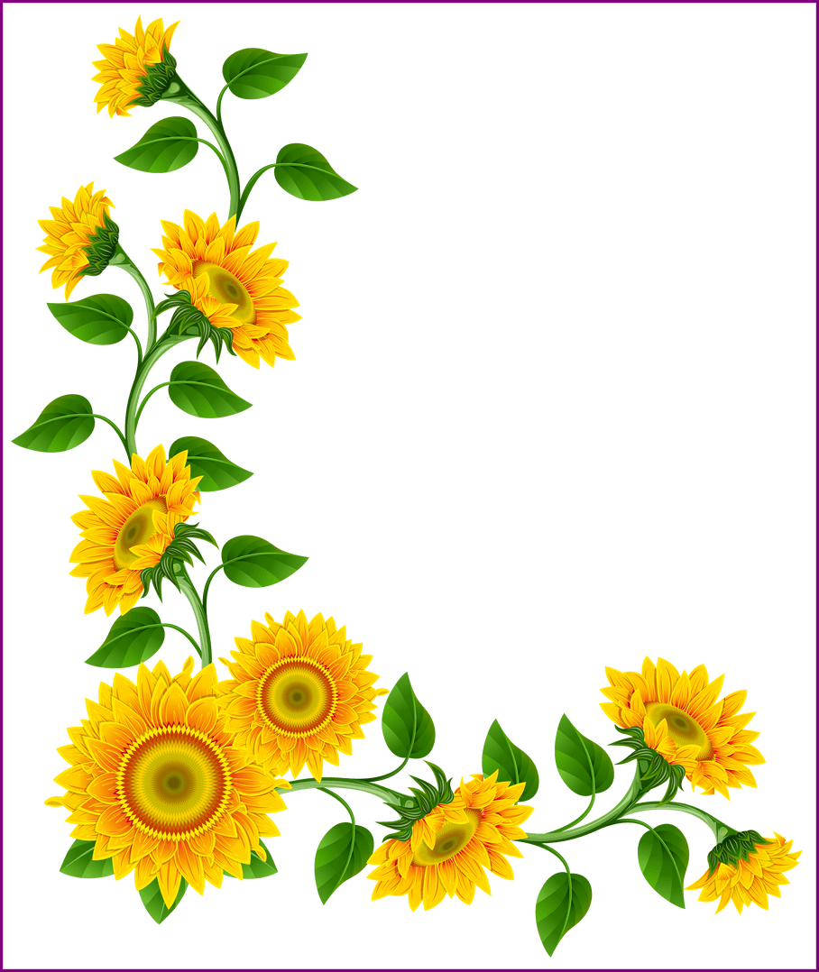 Stunning Sunflower Border Decoration Png Image This - Sunflower Clip Art Flowers (908x1078), Png Download