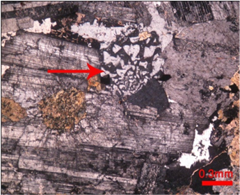 Poster (903x280), Png Download