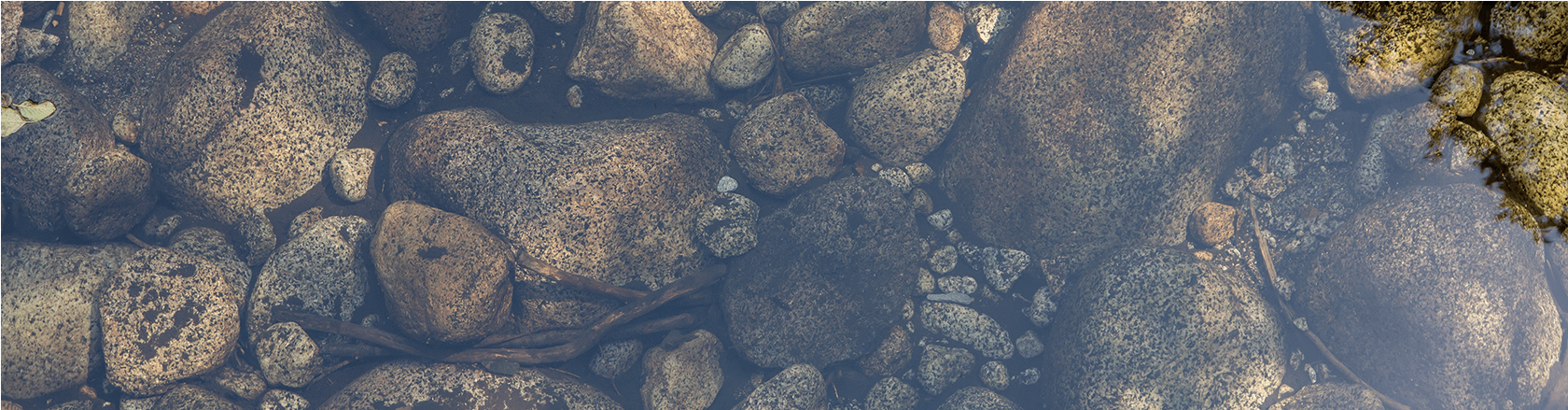 Protecting Your Identity And Privacy - Fugitive In Walden Woods [book] (1679x657), Png Download