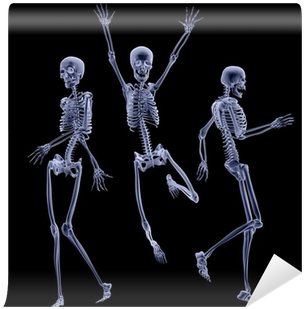Skeleton (400x400), Png Download