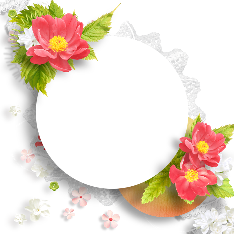 Фото, Автор Moja-kopilochka На Яндекс - Frames Tropical (800x800), Png Download