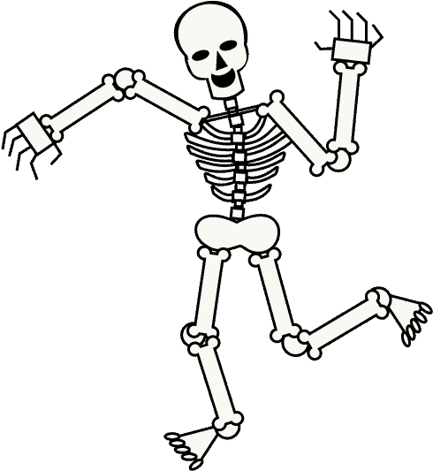 Human Skeleton Drawing Cartoon Skull - Skeleton Cartoon Png (678x600), Png Download