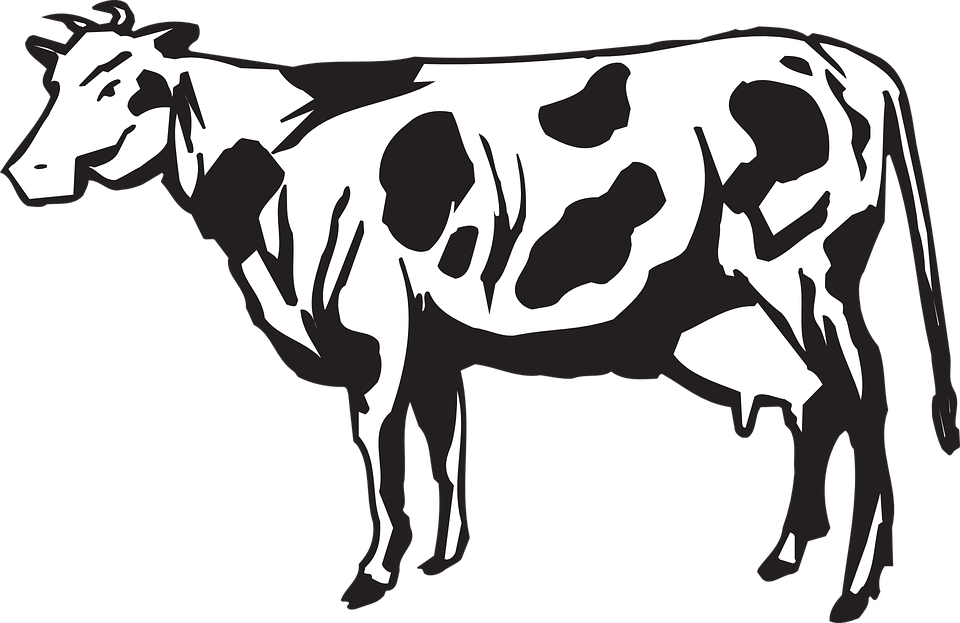 Dairy Cows Vector Graphics - Herd Of Cattle Clipart (960x623), Png Download