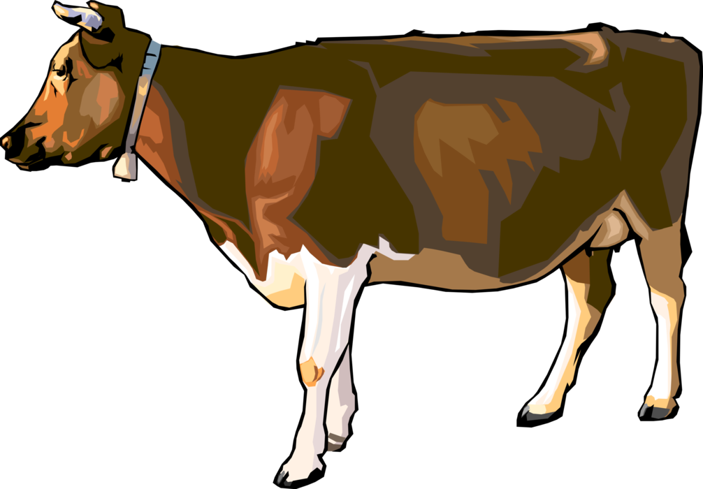 Download Vector Illustration Of Farm Agriculture Livestock Cattle - Cartoon  Realistic Cow PNG Image with No Background 