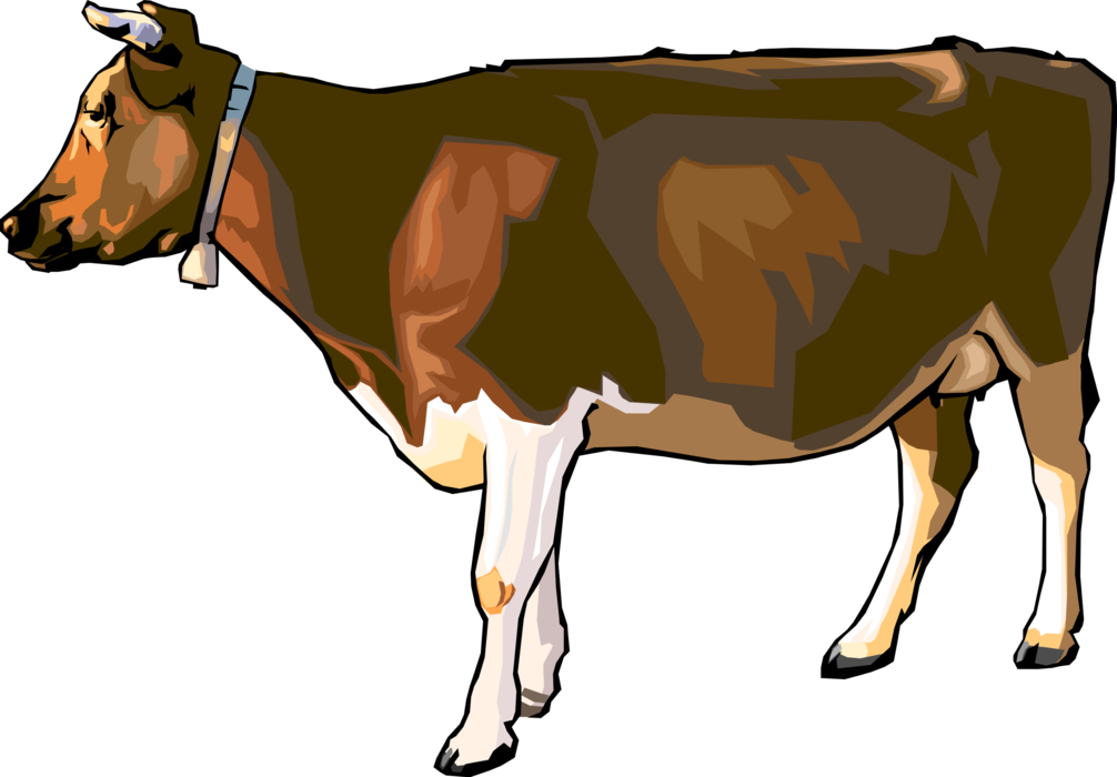 Vector Illustration Of Farm Agriculture Livestock Cattle - Cartoon Realistic Cow (1006x700), Png Download