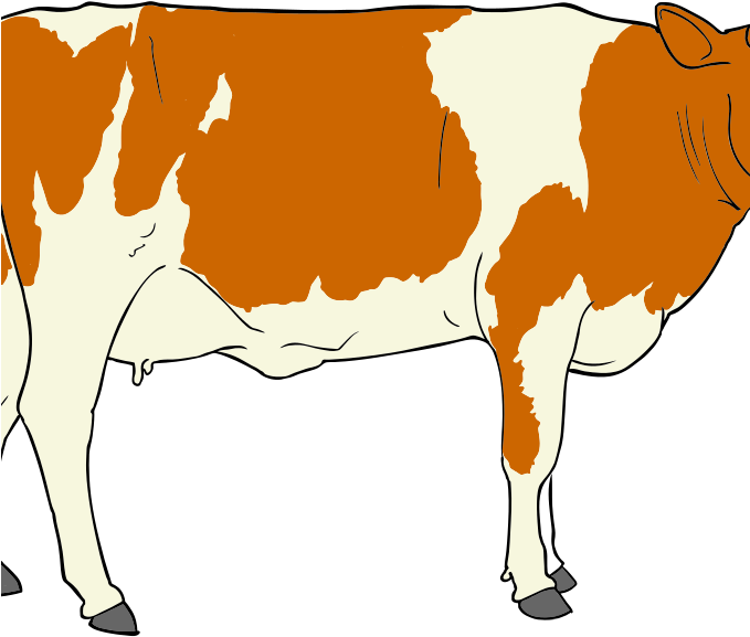 Png Transparent Library Beef Cow Clipart - Cow Clipart (678x599), Png Download