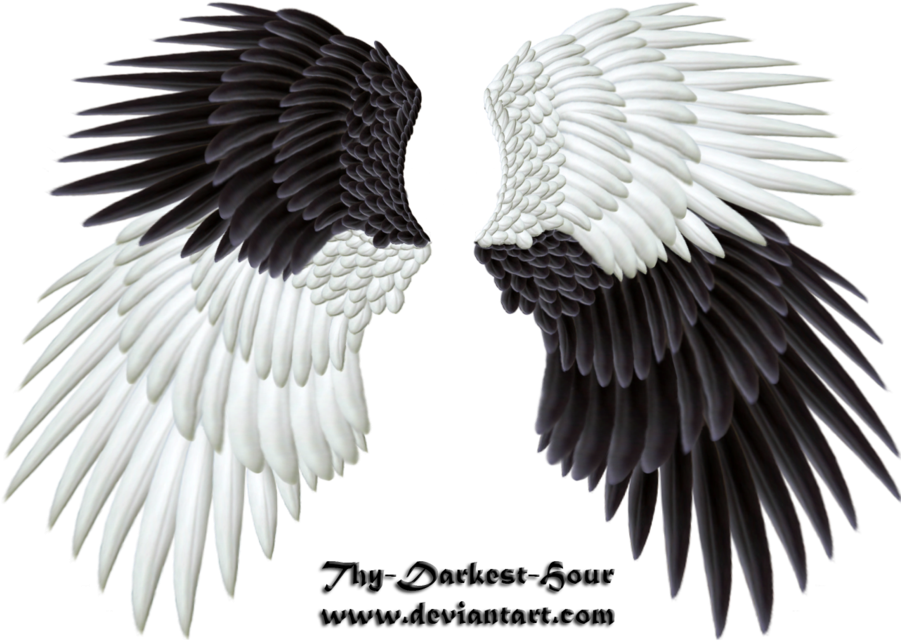 Evil Wings Png Banner Transparent Stock - Angel Of Good And Evil (900x648), Png Download