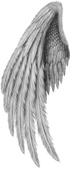 Angel Wings Freetoedit - Gold Angel Wings Png (240x575), Png Download