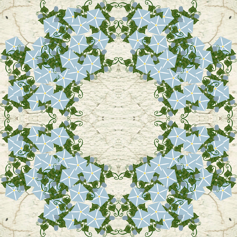 Motif (800x800), Png Download