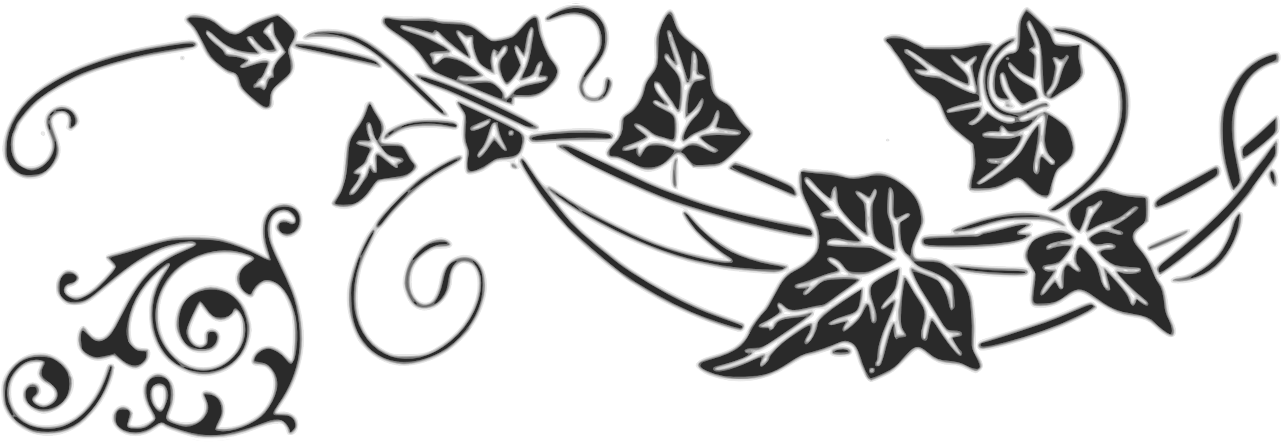 Vine-153001 (1280x640), Png Download