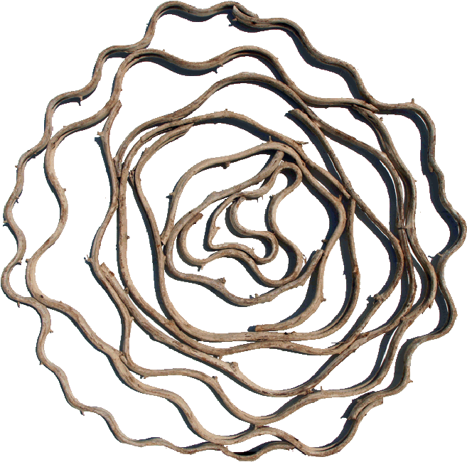 The Vine Circle Wall Art Is Made With Reclaimed Tropical - Wall Art Designs Beach Wall Art Wall (668x663), Png Download