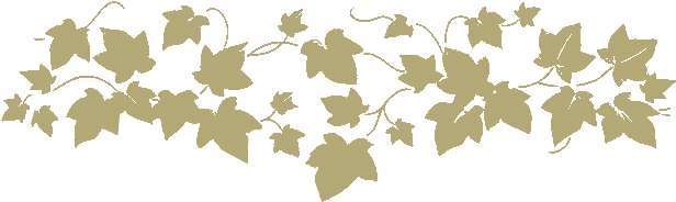 Home - Floral Vines Png (622x198), Png Download