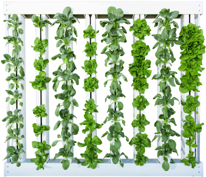 8 Tower Green Wall - Transparent Green Wall Png (555x400), Png Download