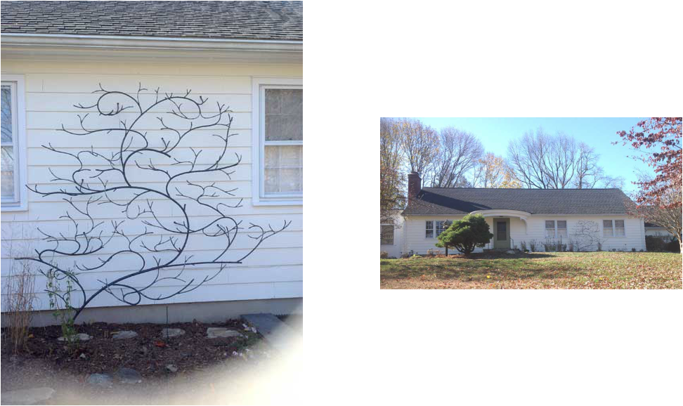 This Vine Is A Trellis With Out A Vine - Estate (972x578), Png Download