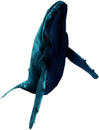 Blue Whale Swimming Vaporwave Aesthetic Tumblr - Aesthetic Whale Png (344x452), Png Download