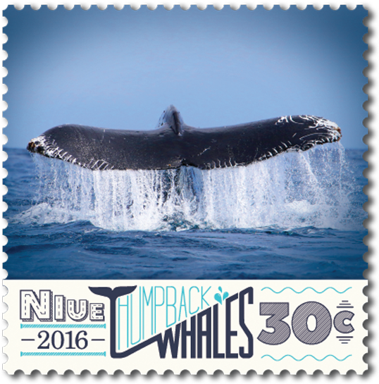 Product Listing For Niue 2016 Humpback Whales - Humpback Whale (600x600), Png Download