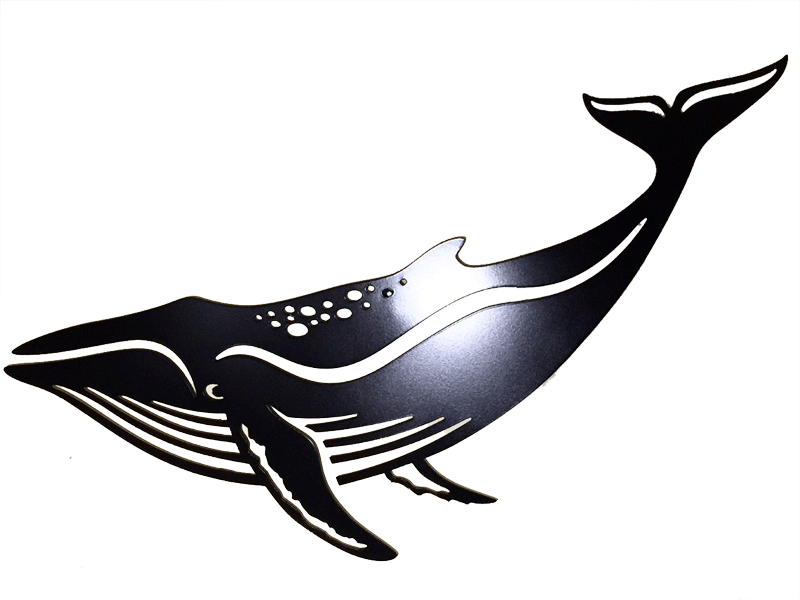 Humpback Whale - Wall Hanging - Baleia Jubarte Png (800x600), Png Download