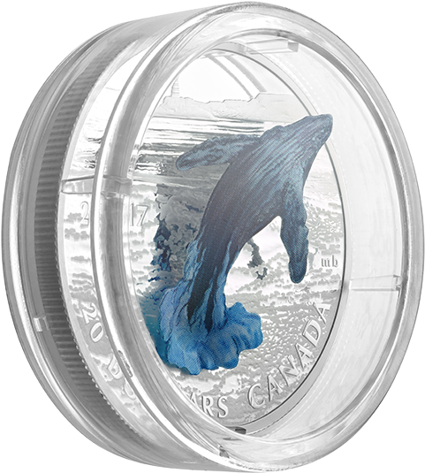 Enlarge - Coin (570x570), Png Download